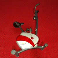 دوچرخه ثابت