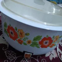 پلوپز برقی