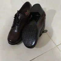 چند مدل کفش نو|کیف، کفش، کمربند|کرمانشاه, |دیوار