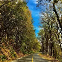 استخدام ادیتور خانم  بهارستان