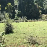 فروش یا تهاتر ۸ هکتار زمین مناسب بوم گردی با چشمه