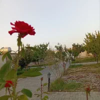 اجاره روزانه/هفتگی ویلامشهد شاهنامه|اجارهٔ کوتاه‌مدت ویلا و باغ|مشهد, توس فردوسی|دیوار