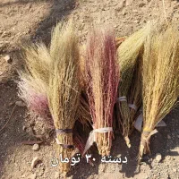 جارو باغی دستی|لوازم نظافت|لردگان, |دیوار