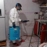 سمپاشی سوسک.ساس حشرات خونگی|خدمات نظافت|گرگان, |دیوار