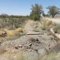 باغ پسته به همراه یک ساعت آب چاه عمیق|فروش زمین و ملک کلنگی|اسلامیه, |دیوار