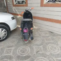 پاکشتی یاها وینو