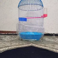 قفس بزرگ با لوازم