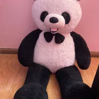 عزوسک خرس بزرگ