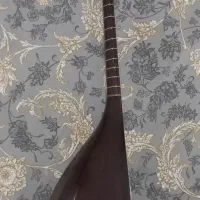 ساز تنبور|سازهای سنتی|ایلام, |دیوار