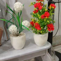 گل خوشکل قیمت مناسب