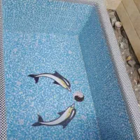 کاشیکاری استخر وجکوزی وسونا|خدمات پیشه و مهارت|تهران, تهرانپارس شرقی|دیوار