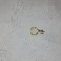 یک عدد گوشوار گم شده