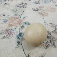 سنگ الماس|جواهرات|مشهد, زیبا شهر|دیوار