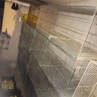 قفس طبقاتی محکم|لوازم جانبی حیوانات|نیشابور, گنبد سبز|دیوار