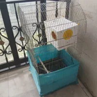 قفس پرنده