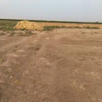 500متر زمین مسکونی متری 800هزارتومن|فروش زمین و ملک کلنگی|رامند, |دیوار