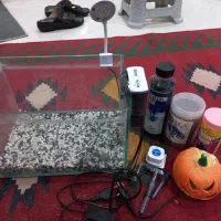 آکواریوم