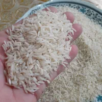 برنج هاشمی  خوش پخت|خوردنی و آشامیدنی|رشت, خمیران زاهدان|دیوار
