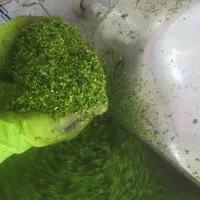 سبزی خرد کنی با دستگاه صنعتی