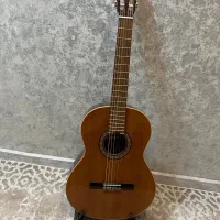 گیتار آلمانزا۴۰۱،هاردکیس،پایه