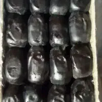 خرما رطب مضافتی بم