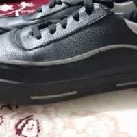 کتانی|کیف، کفش، کمربند|میانه, |دیوار