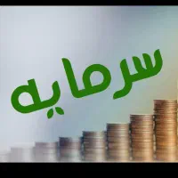 سرمایه از شما سود خوب از ما