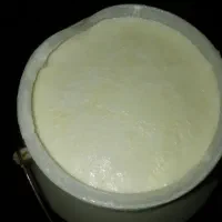 ماست پر چرب گوسفندی