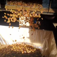 کشمش پلویی ملایر