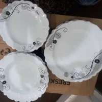 سرویس کامل ارکوپال المانی