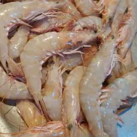 میگو سایز بزرگ