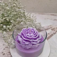 انواع شمع دستساز و دکور|صنایع دستی و سایر لوازم تزئینی|رشت, سلیمانداراب|دیوار