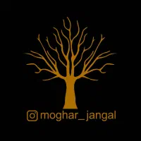 مغار گوشواره