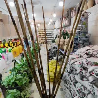 چوب بامبو ضخیم پایه گلدان استند سانسوریا یوکا پازل|گل و گیاه طبیعی|قم, ولیعصر|دیوار