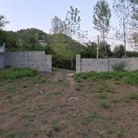فروش-750-متر-باسند-تک-برگی