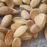 مغز بادام و بادام|خوردنی و آشامیدنی|تهران, سلسبیل جنوبی|دیوار