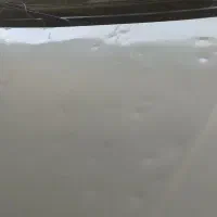 پارس