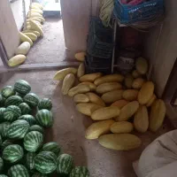 هندوانه و خربزه اعلا