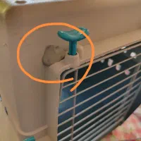 باکس نگهداری گربه|لوازم جانبی حیوانات|گنبد کاووس, |دیوار