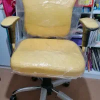 صندلی چرخ دار