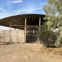 فروش مرغداری گوشتی|فروش دفتر صنعتی، کشاورزی، تجاری|گرمسار, |دیوار