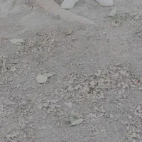 یک قطعه زمین جای مغازه ۵ در ۱۰ بفروش میرسد