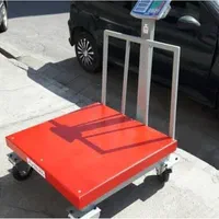 باتری و انواع باسکول ترازو موتورشارژی اسباب بازی|اسباب‌‌بازی|بردسیر, |دیوار
