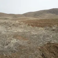 خانه  اجاره ای