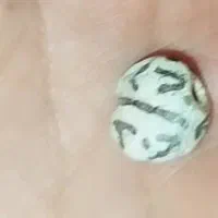 مهره اصل بودایی مهرها اصل انرژی|کلکسیون اشیاء عتیقه|کرمان, |دیوار