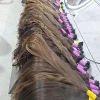 خریدار اصلی موی طبیعی(خریدار اصلی مو مرکز اصلی)