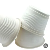 ظرف گیاهی ماستی گم شده