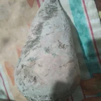 نیرو کارگر خانم یا اقاتسویه روزانه