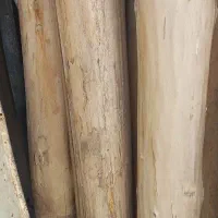 چوب