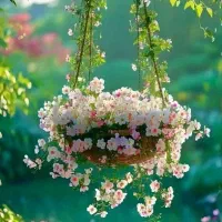 تور گلابگیری کاشان یکروزه